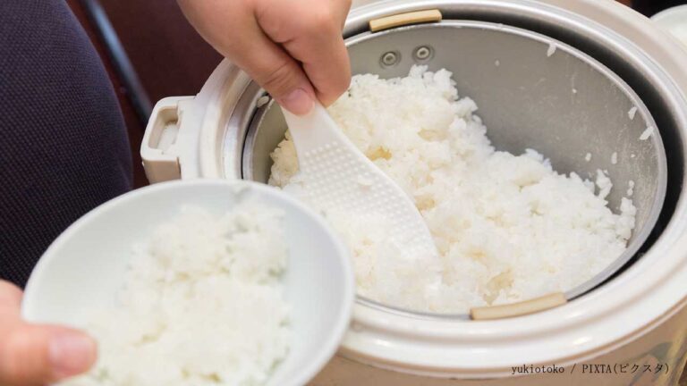 ご飯の写真