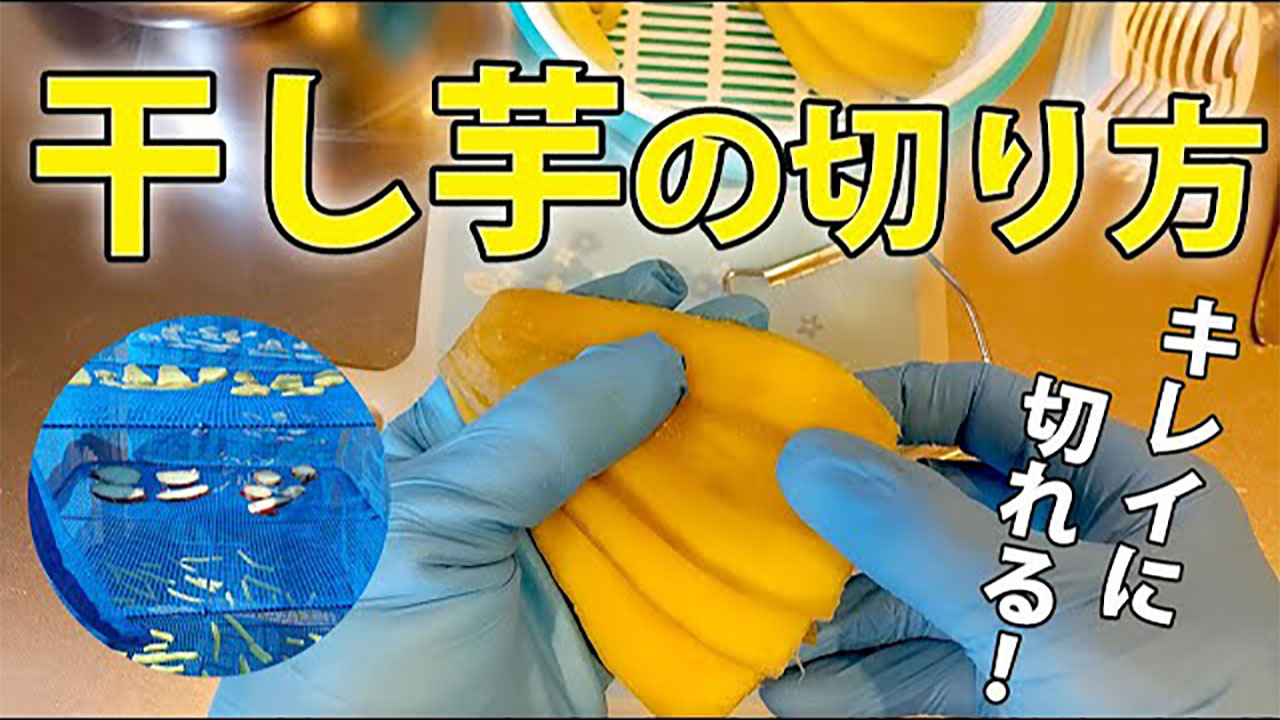 YouTubeチャンネル『富士おおとみファーム』の写真