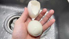 煮卵の写真