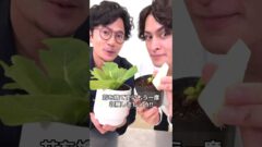 YouTubeチャンネル『そらベジガーデンハック』のそらベジさんと稲垣吾郎さんの写真