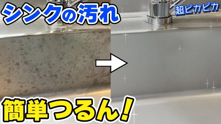 YouTubeチャンネル『プロのお掃除チャンネル』の写真