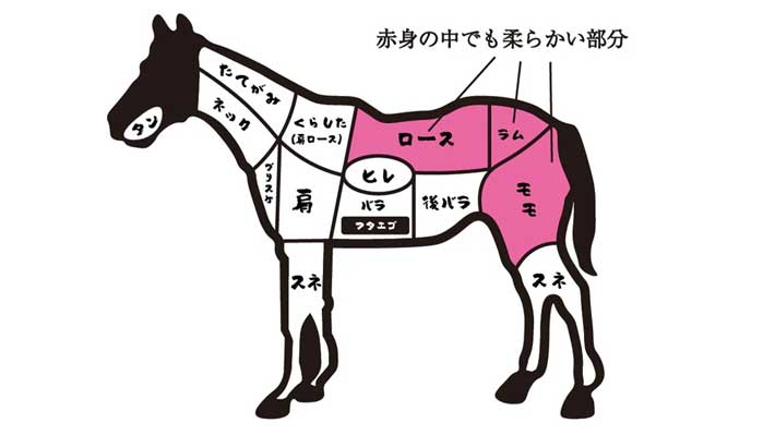 馬肉の部位の画像