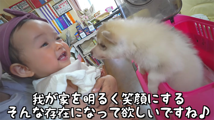 YouTubeチャンネル『もんちゃんっていうよ。』の写真