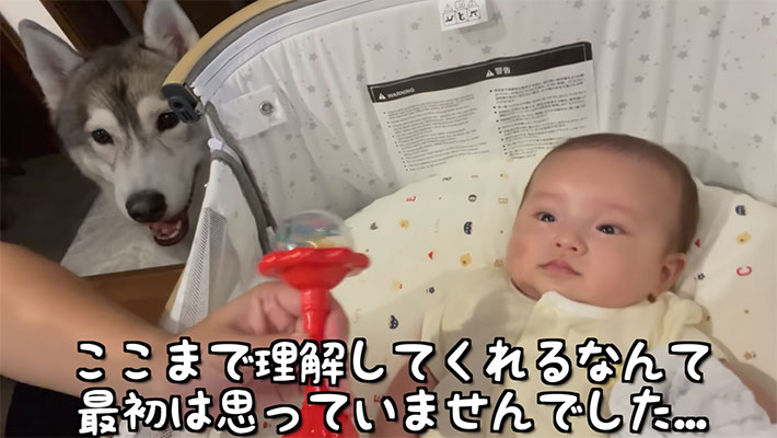 YouTubeチャンネル『もんちゃんっていうよ。』の写真