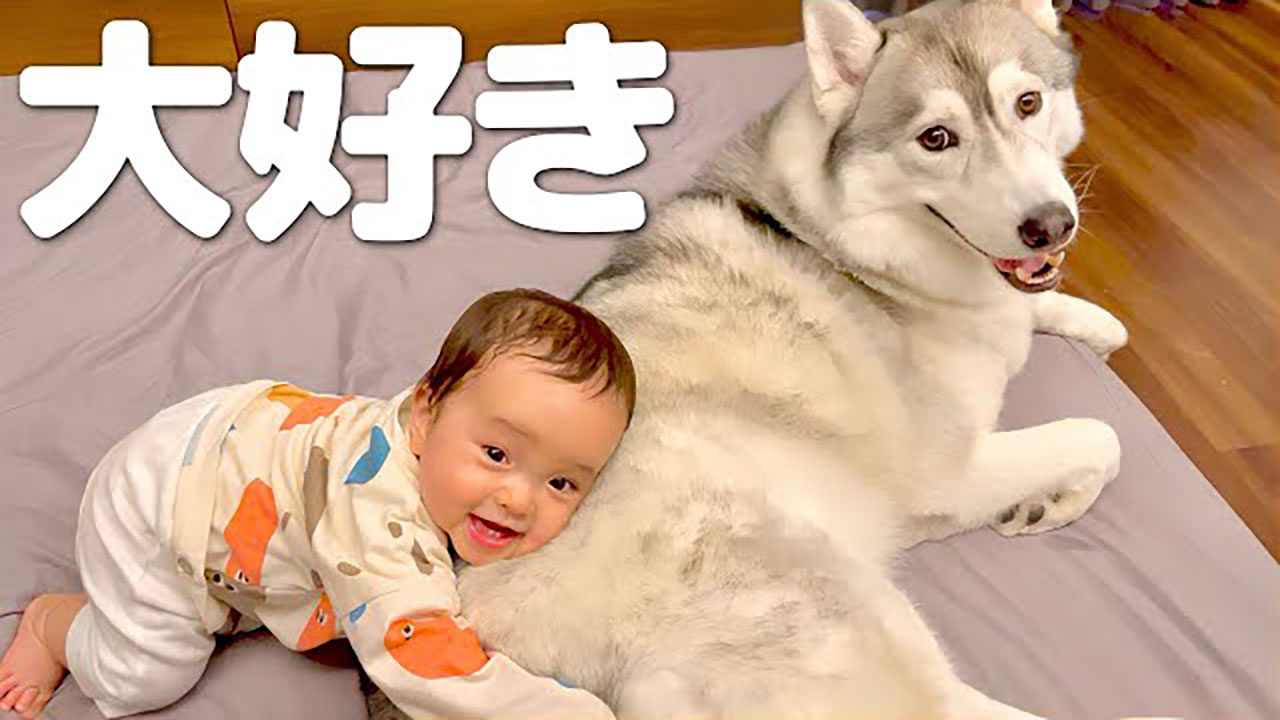 YouTubeチャンネル『もんちゃんっていうよ。』の写真