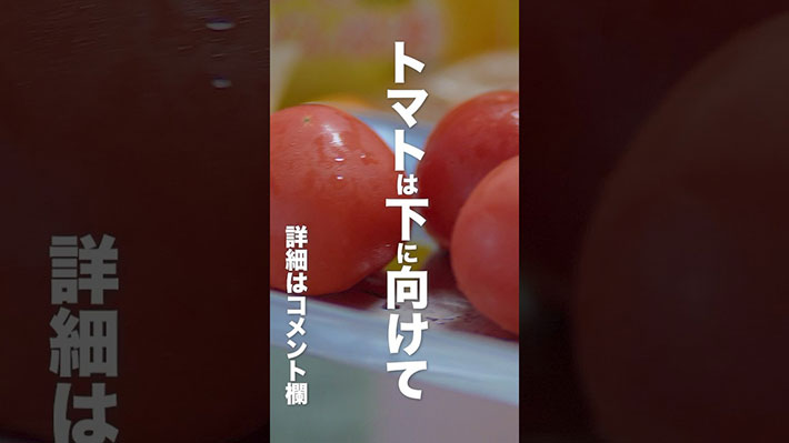 YouTubeチャンネル『青髪のテツ 野菜のプロ』の写真