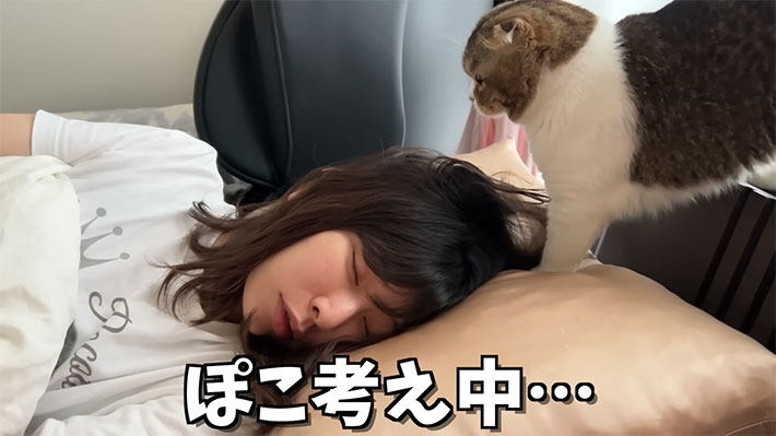 YouTubeチャンネル『スコスコぽこ太郎&うま次郎〜猫ちゃんねる〜』の写真