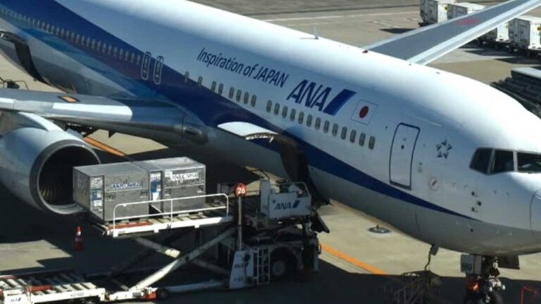 全日本空輸（ANA）の飛行機の写真