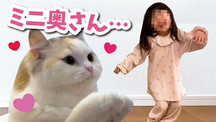 YouTubeチャンネル『ニャンチューバーつくし 【関西弁でしゃべる猫】』の写真