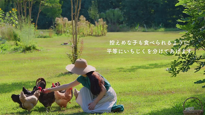 YouTubeチャンネル『nekoniwa』の写真