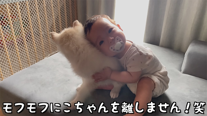 YouTubeチャンネル『もんちゃんっていうよ。』の写真