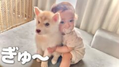 YouTubeチャンネル『もんちゃんっていうよ。』の写真