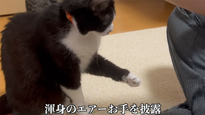 YouTubeチャンネル『うこまチャンネル』の動画キャプチャー